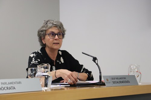 El Grup Parlamentari Socialdemòcrata demana al Govern el calendari d’aprovació del Pla oncològic nacional