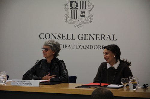 El Grup Parlamentari Socialdemòcrata proposa reforçar la transparència amb més informació pública, declaracions d’interessos i sancions per incompliment.