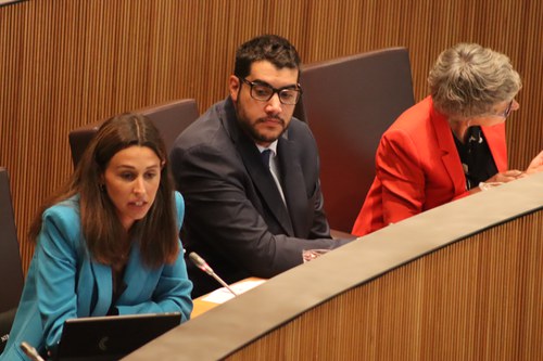 El PS reclama un reagrupament familiar més flexible per retenir professionals essencials i protegir les víctimes de violència