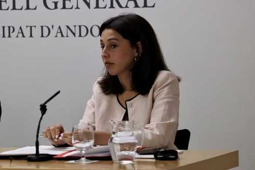 Moliné demana al Govern amb quins criteris avaluarà l’èxit de l’heliport nacional de la Caubella