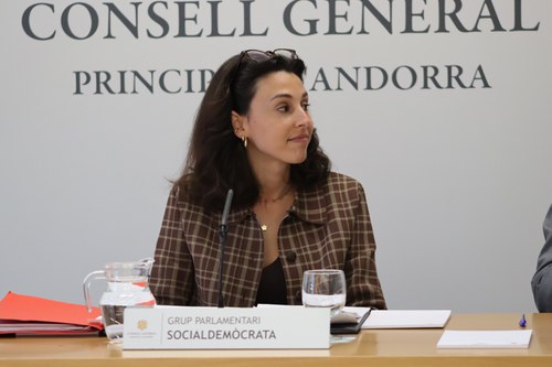 Moliné demana al Govern per què crea a final de legislatura una nova estructura a Funció Pública per afrontar problemes que fa anys que arrossega