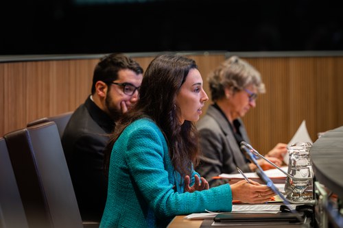 Moliné demana explicacions al Govern sobre la rotonda de la Serra de l’Honor a la Massana
