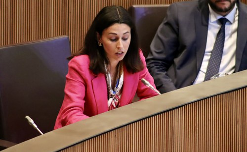 Moliné demana garanties sobre la dependència tecnològica del model d’Andorra Digital