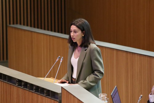 Moliné demana informació detallada sobre el projecte de l’heliport de la Caubella