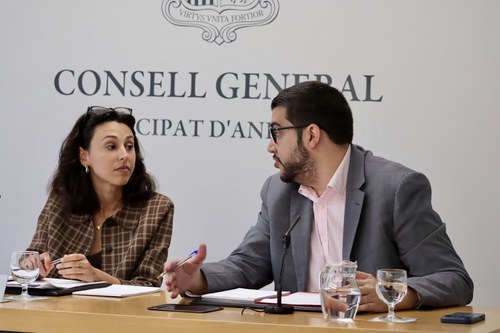 Moliné presenta esmenes per reforçar la protecció dels infants en l’entorn digital amb més garanties i control democràtic