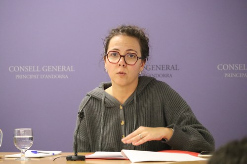 Proposició de llei del PS per modificar la Llei qualificada de la persona i la família