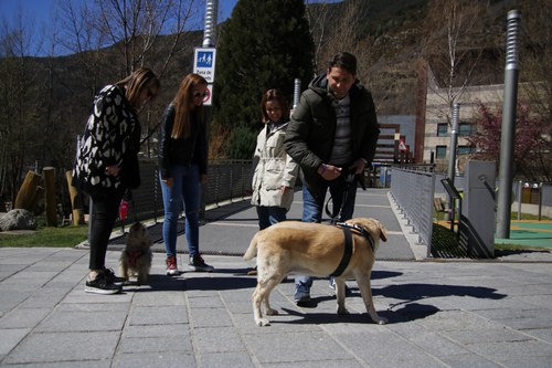 PS + Agrupament Encampadà elaborarà una llei de benestar animal que afavoreixi la convivència amb les mascotes