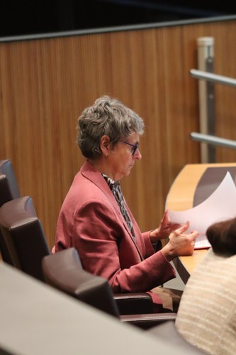 Vela demana al Govern informació detallada sobre les dades fiscals per analitzar la distribució de la càrrega tributària a Andorra