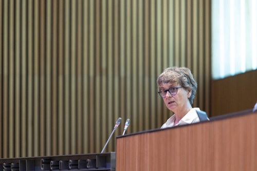 Vela demana al Govern pel desplegament reglamentari de les lleis aprovades des del 2019