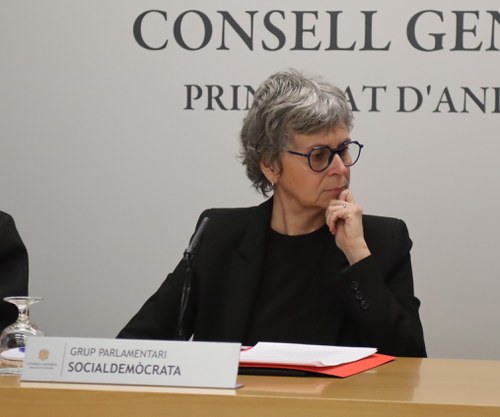 Vela presenta 58 esmenes per reforçar les garanties en el tractament de dades en l’àmbit penal