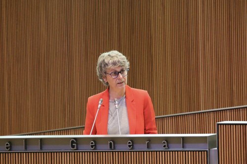 Vela presenta esmenes per reforçar la protecció del patrimoni documental i la política arxivística d’Andorra